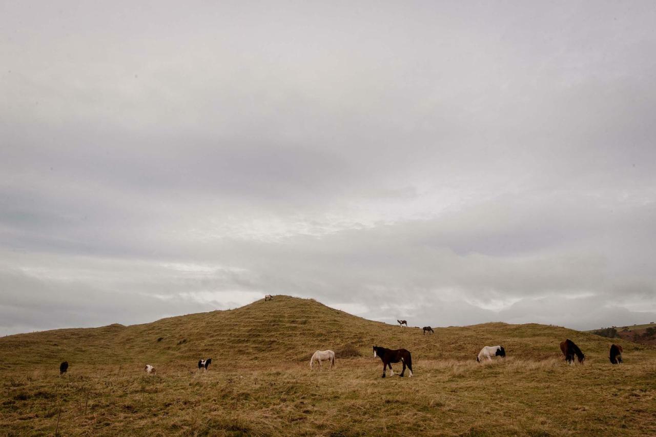 The Wild Atlantic Hideaway Διαμέρισμα Clonakilty Εξωτερικό φωτογραφία